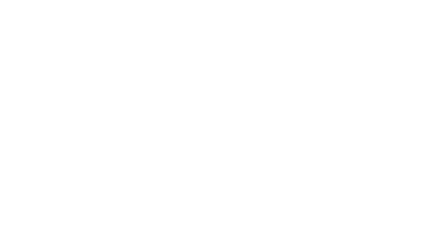 BavarianInS logo