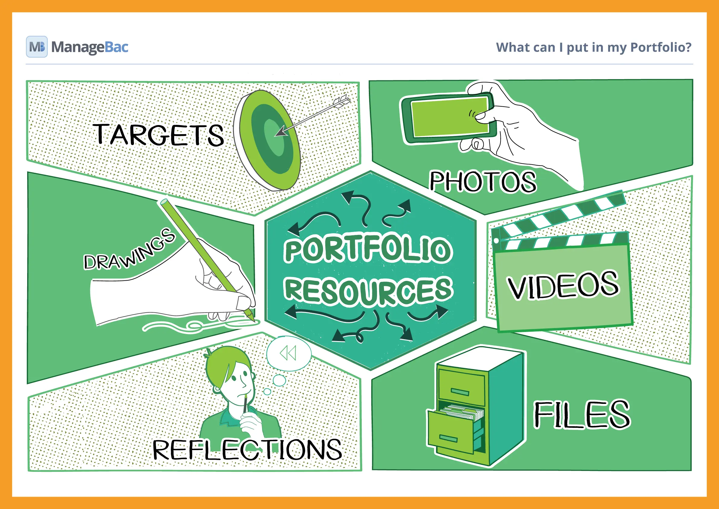 What can I put in my Portfolio?